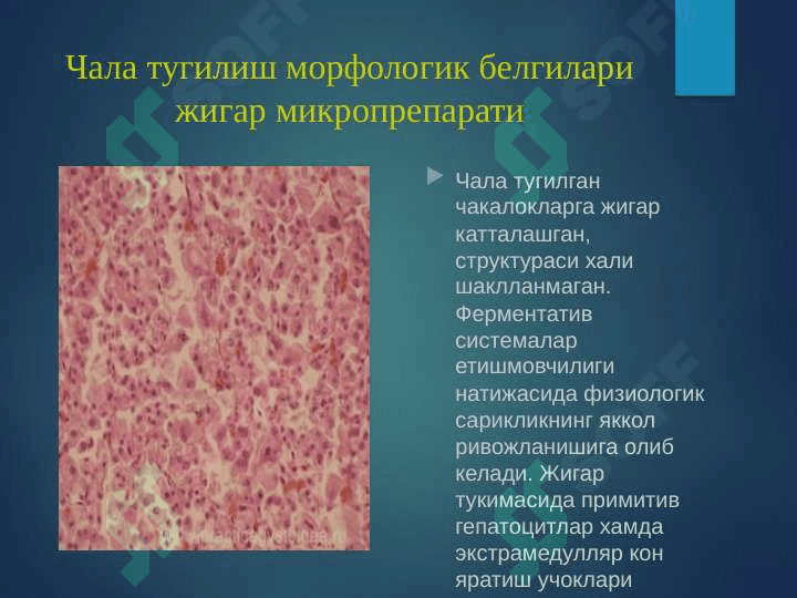 Parental patalogiya ppt 8