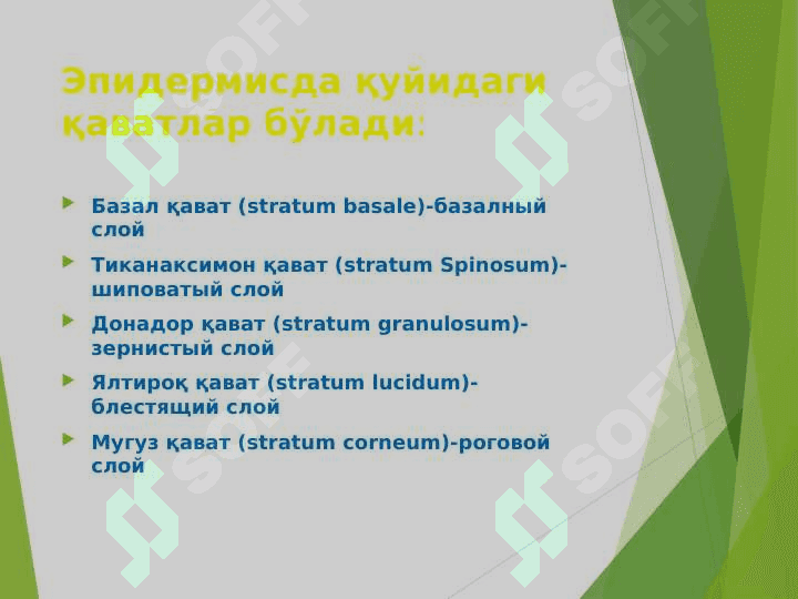 Teri pigmentlari ppt 5