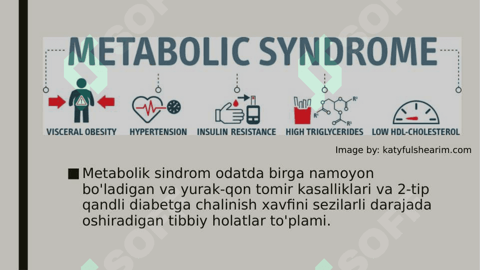 Metabolitik sindromi ppt 2