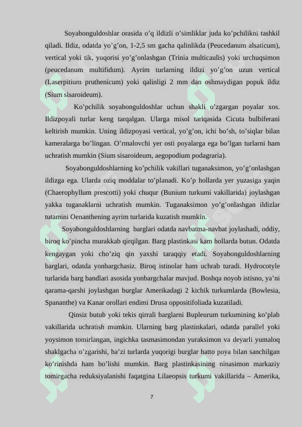 ZIRADOSHLAR  (APIACEAE)  OILASI 7