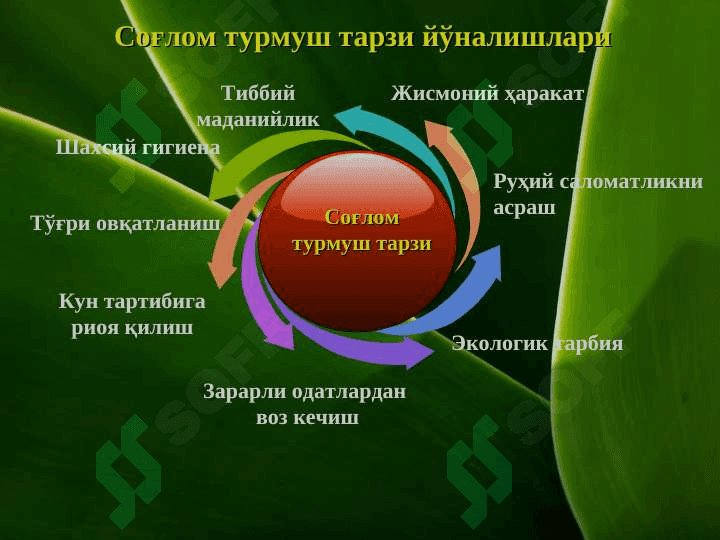 Соғлом турмуш тарзи slayd 7