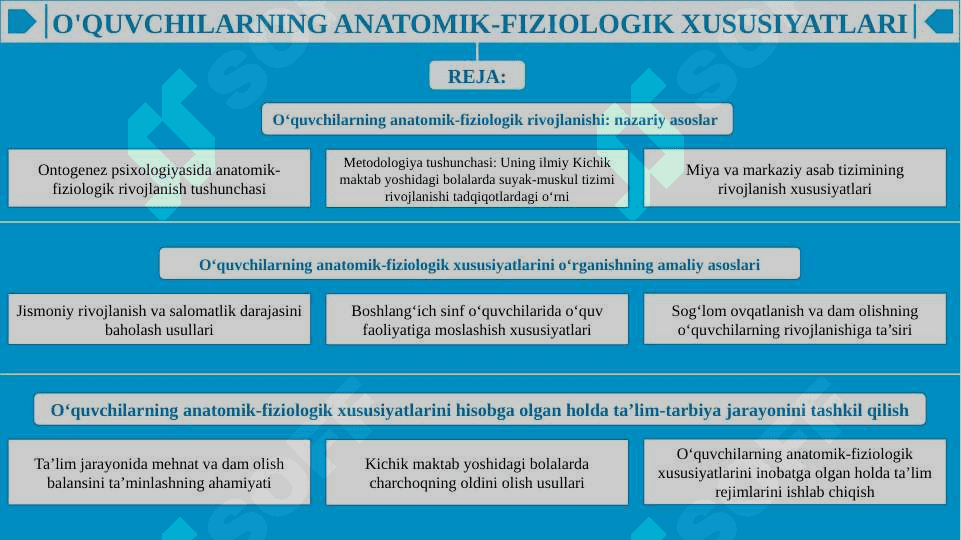 O'quvchilarning anatomik-fiziologik xususiyatlari 2