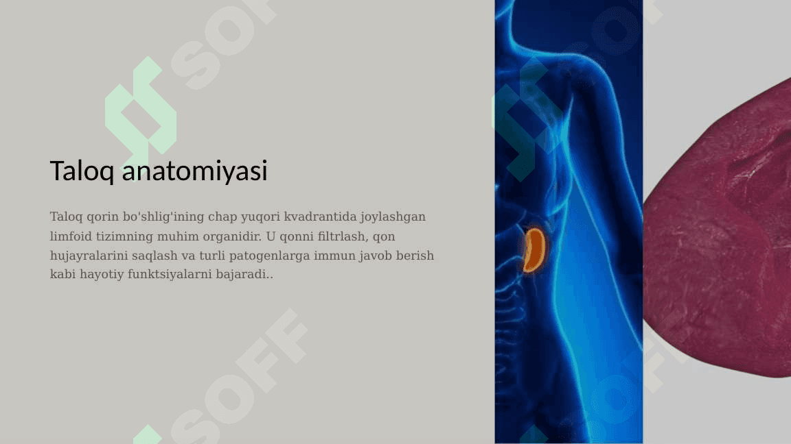 Speknektomiya ppt 2