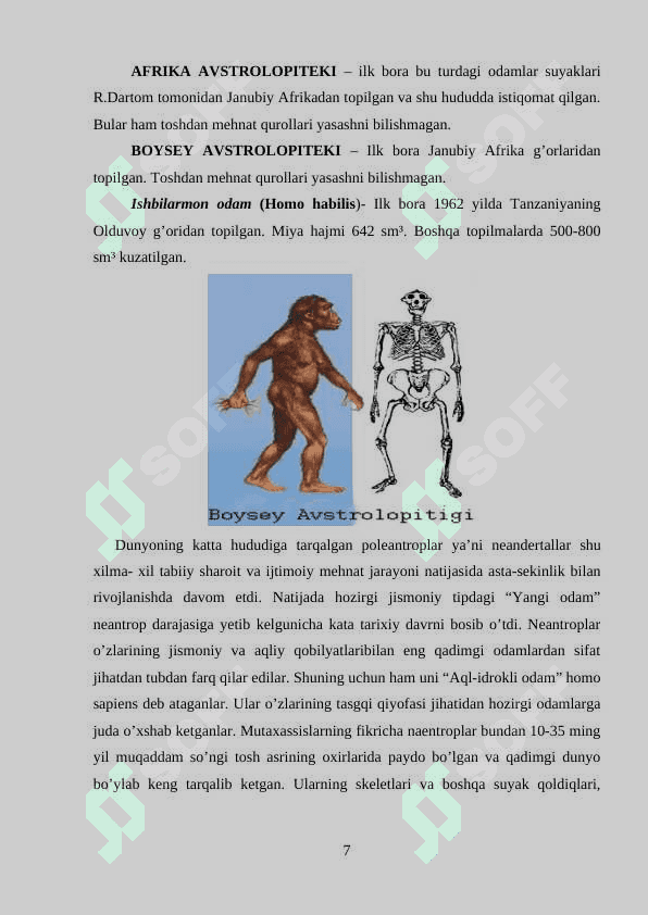 Antropogenezning asosiy bosqichlari 7
