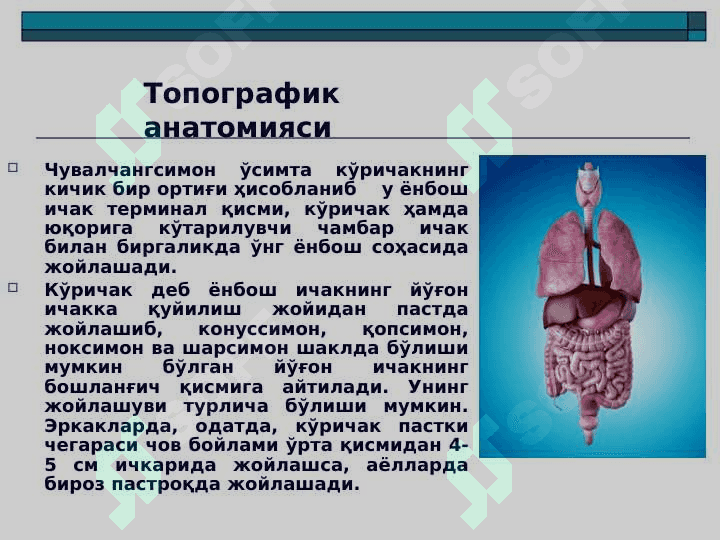 O'tkir apenditsit ppt 3