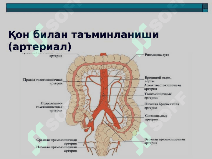 O'tkir apenditsit ppt 7