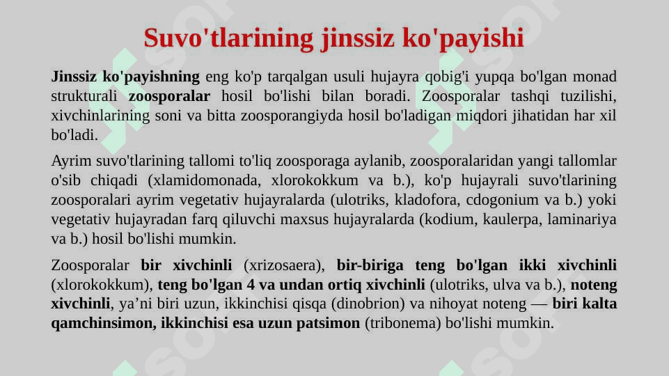 Suv o’tlari (Algae) bo’limi 7