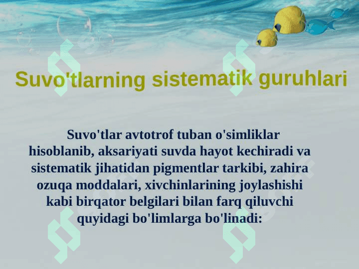 TUBAN O’SIMLIKLAR 6