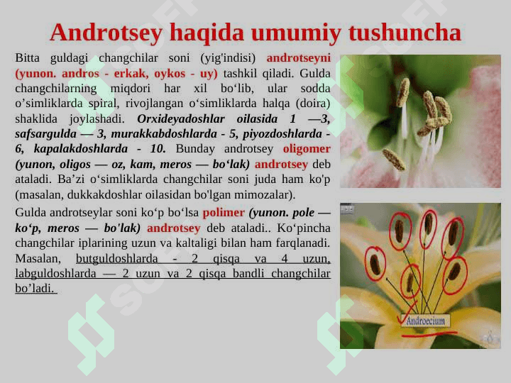 Gulning tuzilishi, tiplari va vazifasi. 7