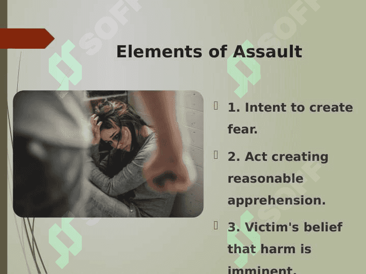 Intentional Torts: Assault and Battery 4
