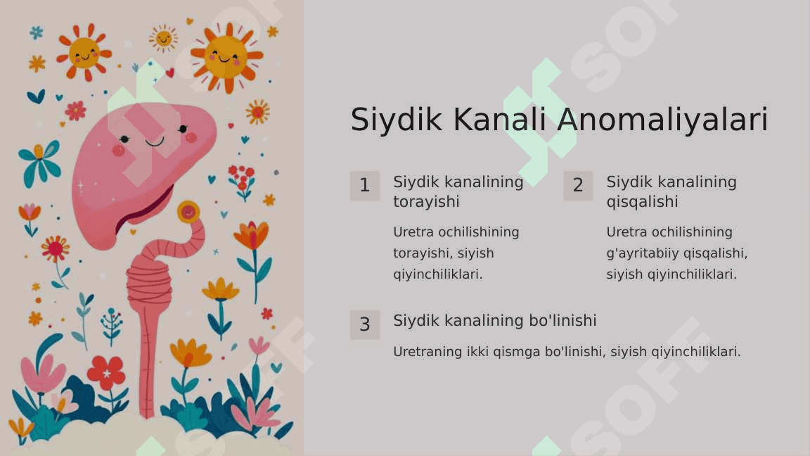 Siydik ayirish-jinsiy a'zolari anomaliyalari 8