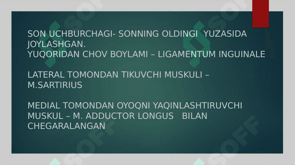 SON UCHBURCHAGI 2