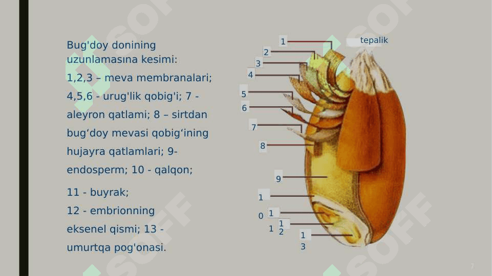Un ishlab chiqarish texnologiyasi 8