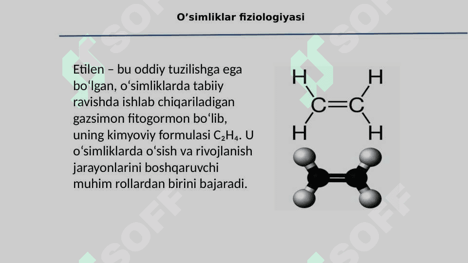 Etilen va gibberelinlar va ularning ta’sir etish mexanizmlari 7