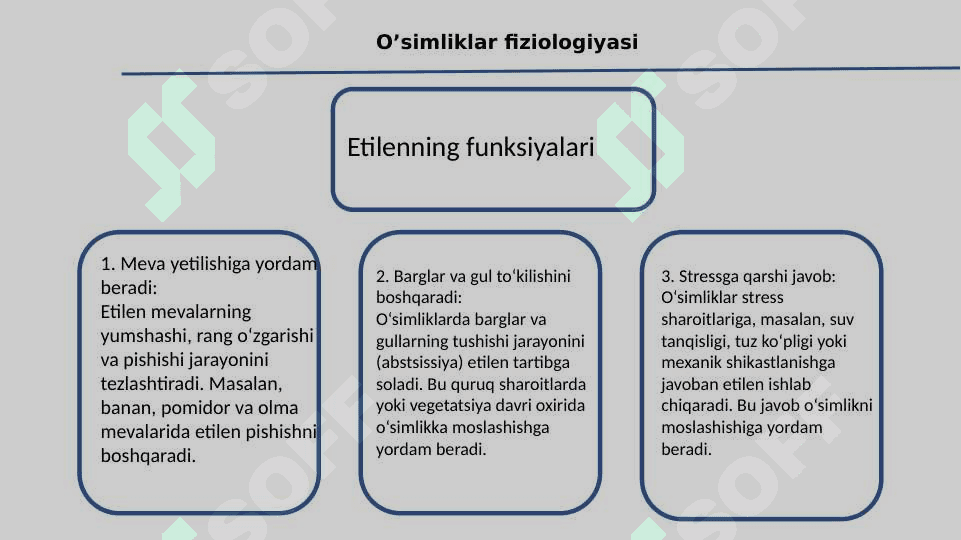 Etilen va gibberelinlar va ularning ta’sir etish mexanizmlari 8