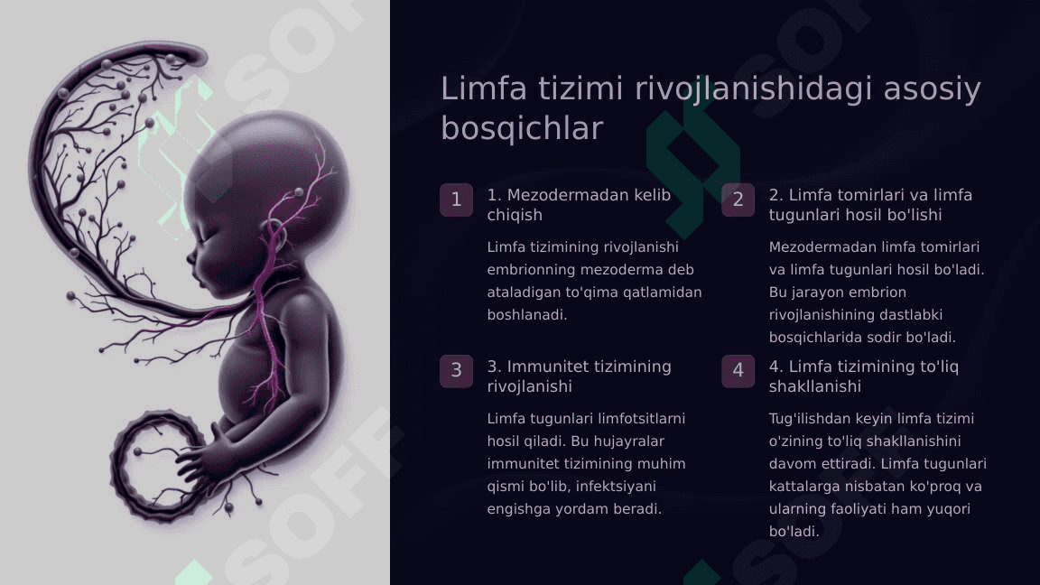 Limfa tizimi filogenezi, ontogenezi, anomaliyalari 6