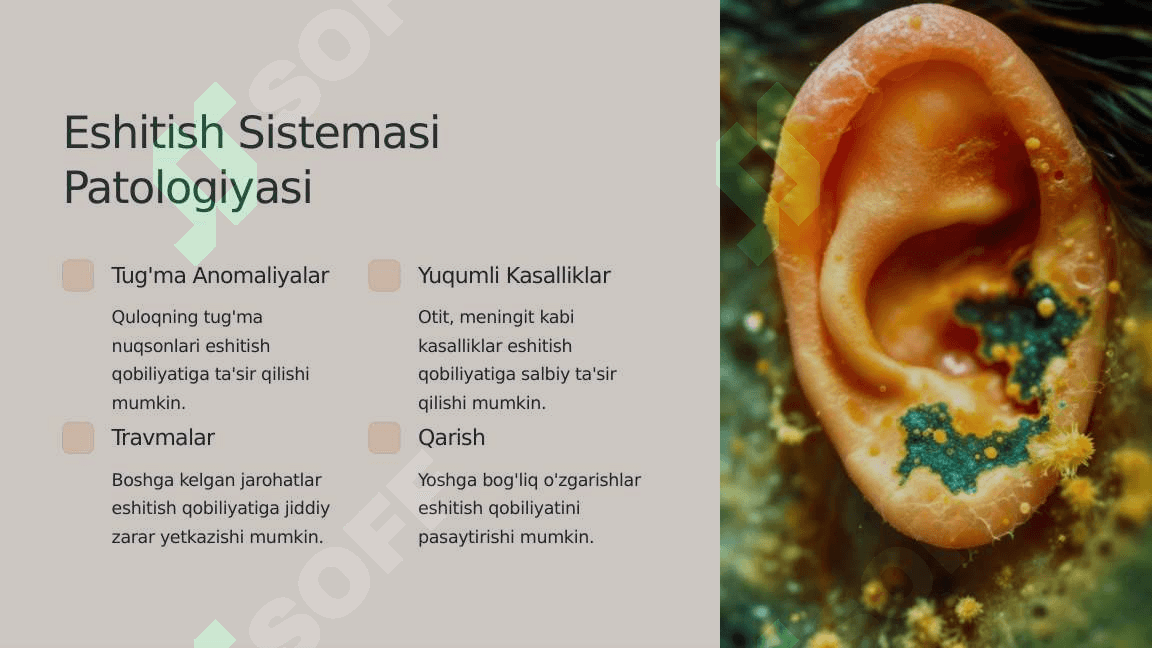 Eshitish biofizikasi elementlari. Koxlear implantatsiya asoslari 4