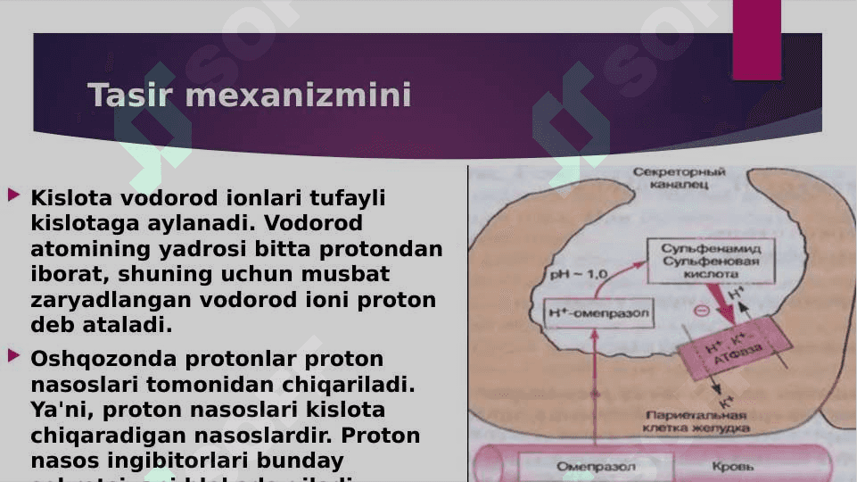 Proton Nasos ingibitorlari 3