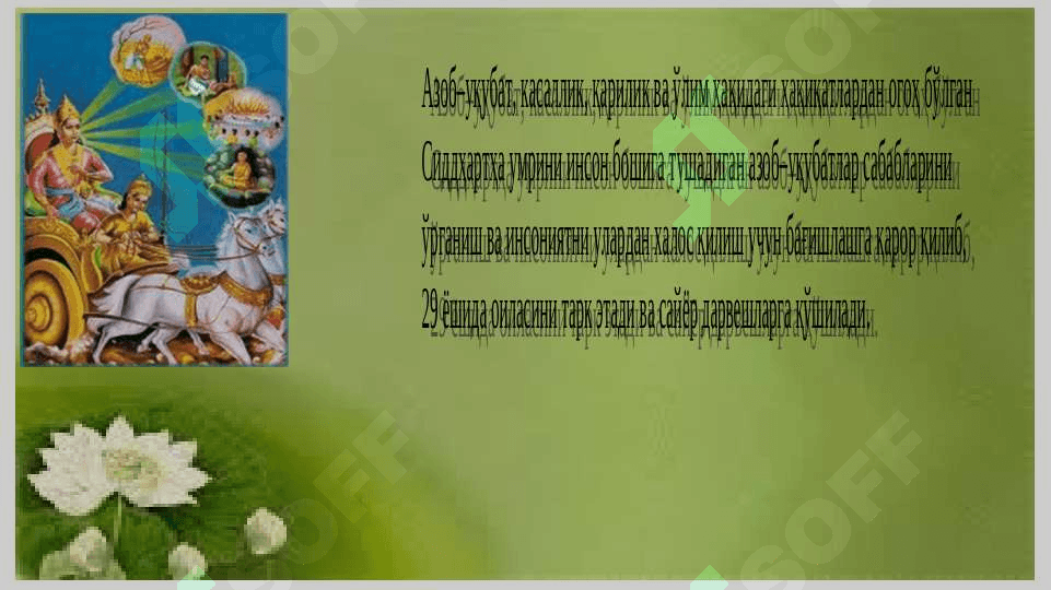 Buddaviylik 5