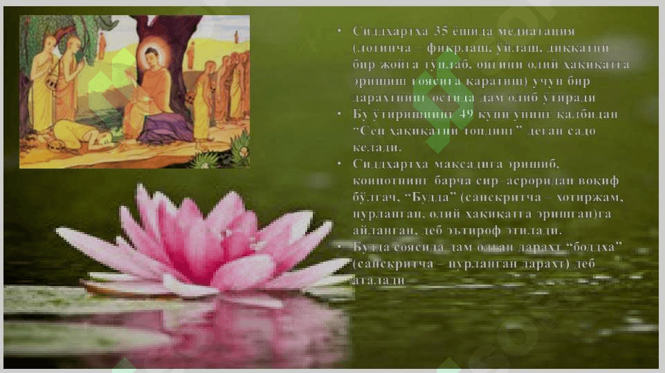 Buddaviylik 6
