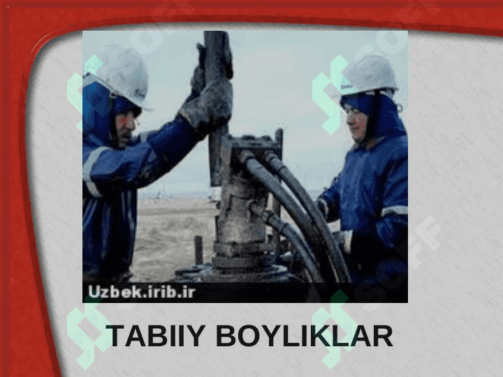 Tabiiy resurslar va ularning tasnifi 6