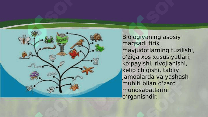 BIOLOGIYA – HAYOT HAQIDAGI FAN 3