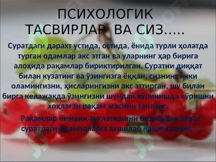 расмли тестлар 2