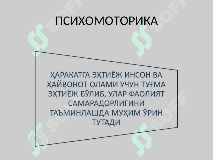 ИНСОН ПСИХОМОТОРИКАСИ ХАРАКТЕРИСТИКАСИНИ  АНИҚЛАШ 6