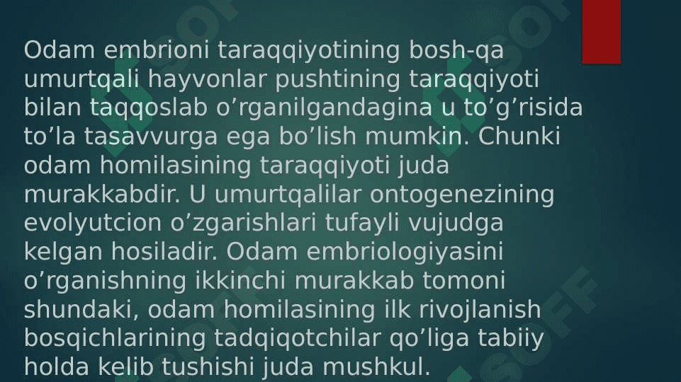 Odam embriogenezining qaltis davrlari 2