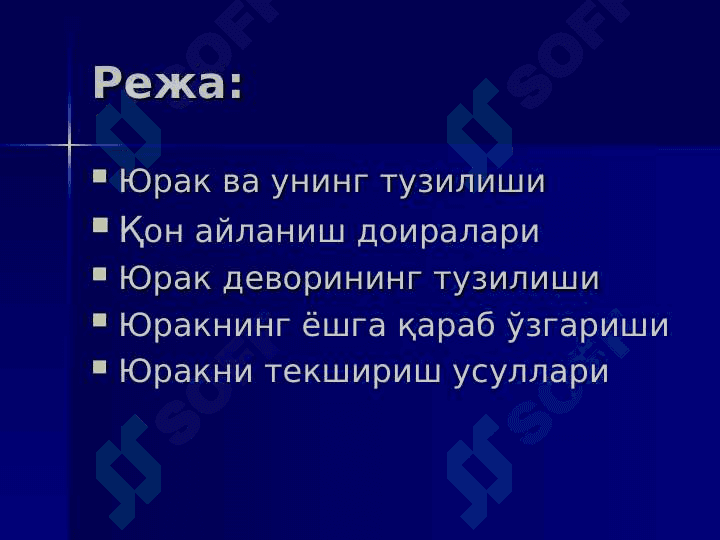 Yurak qon aylanish doiralari 2