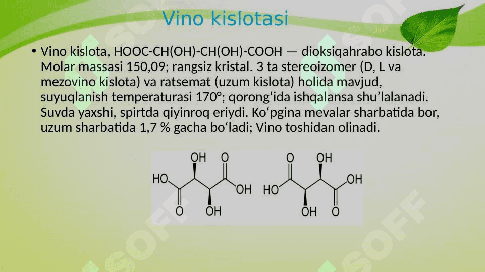 Vino kislota 4