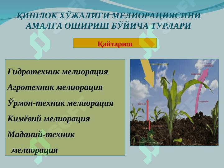 СУҒОРИШ ТЎҒРИСИДА АСОСИЙ МАЪЛУМОТЛАР 4