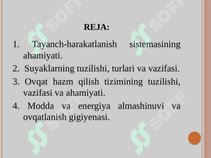 Tayanch va hazm tizimi 2