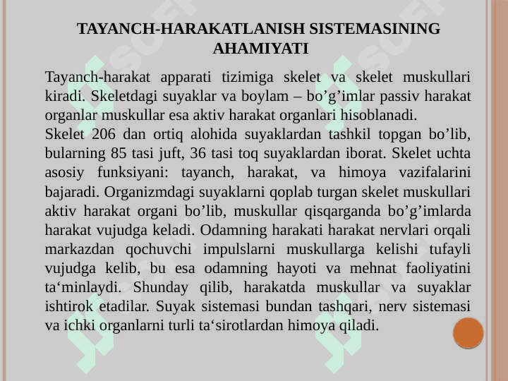 Tayanch va hazm tizimi 3