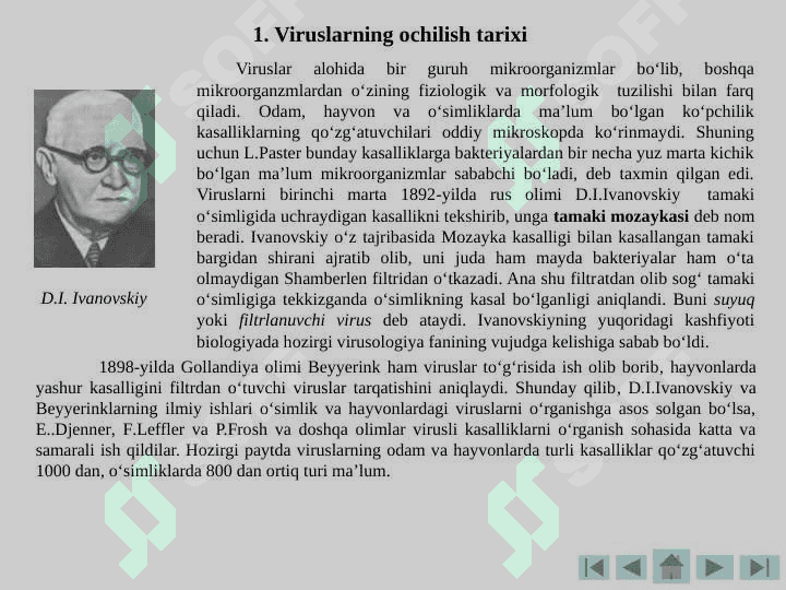 Viruslar va bakteriofaglar . Вируслар ва бактериофаглар 3