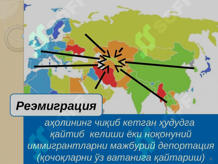 migratsiya 8