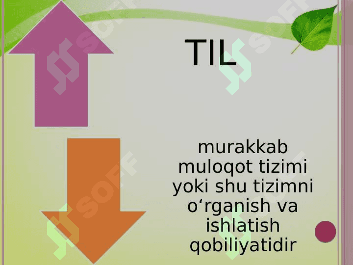 ONG VA TIL MUNOSABATI 4