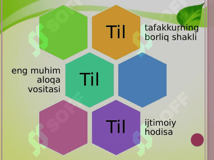 ONG VA TIL MUNOSABATI 5