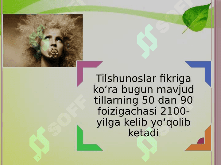 ONG VA TIL MUNOSABATI 8