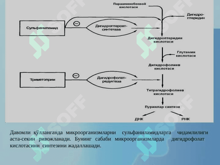 СУЛФАНИЛАМИД ПРЕПАРАТЛАРИ . Sulfanilamid dorilar , preparatlar , vositalar . Moddalar 6