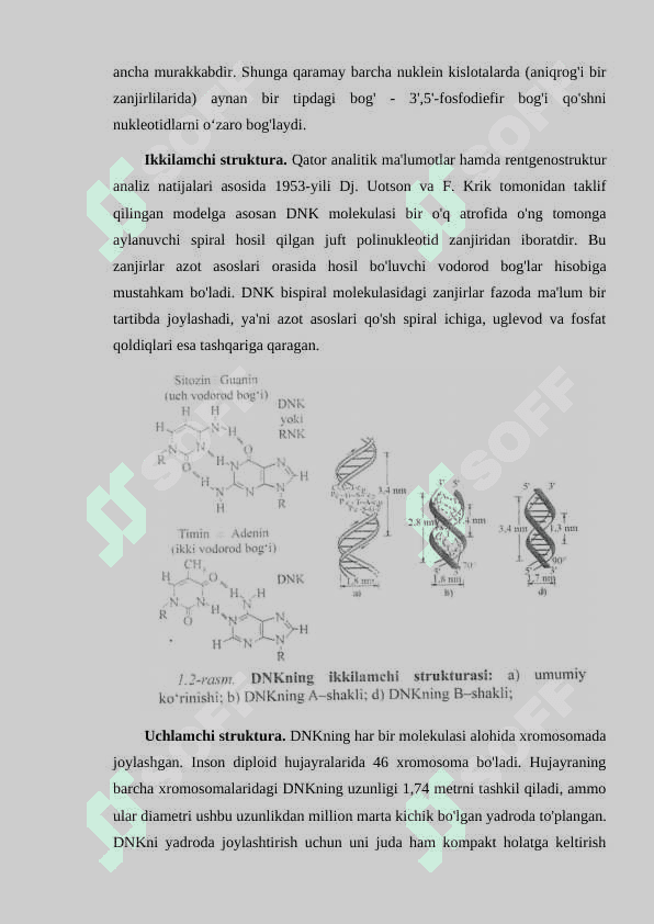 Irsiyatning molekular asoslari 5