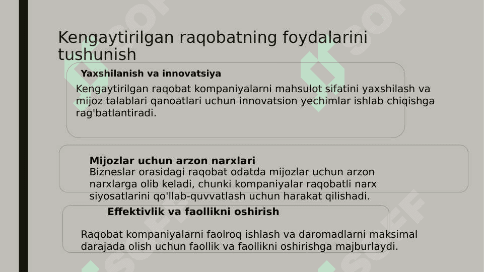 Korxona mahsulotining tavsifi 6