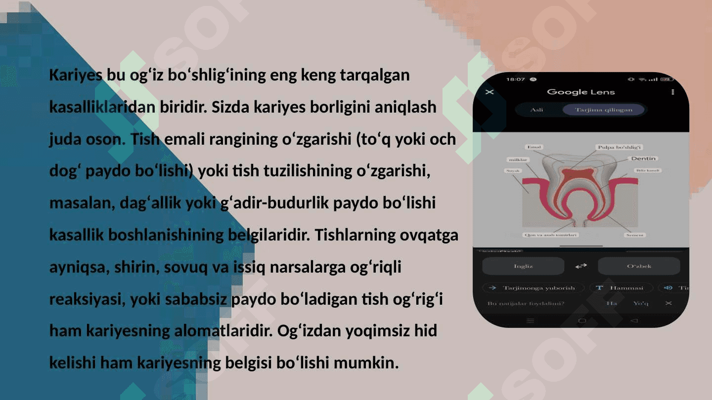 Kariyes va ovqatlanish tamoyillari 2