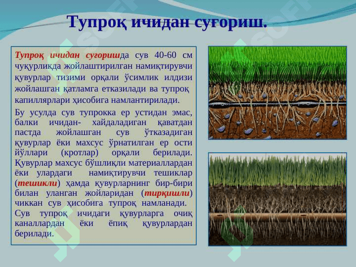 Тупроқ ичидан суғориш усули 3