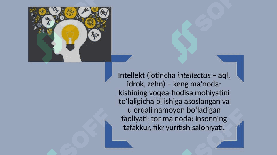 Intellekt psixologiyasi  strukturasi 21.pptx 2
