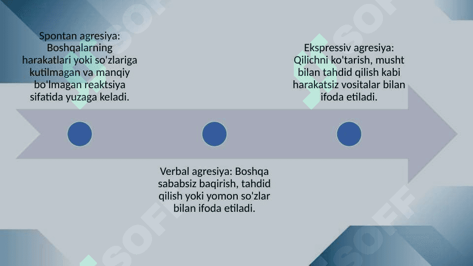 Agressivlik va tobelik 30.pptx 6