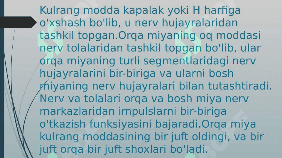 Orqa miyaning reflektor va o’tkazuvchi yo’l faoliyati, tekshirish usullari 6