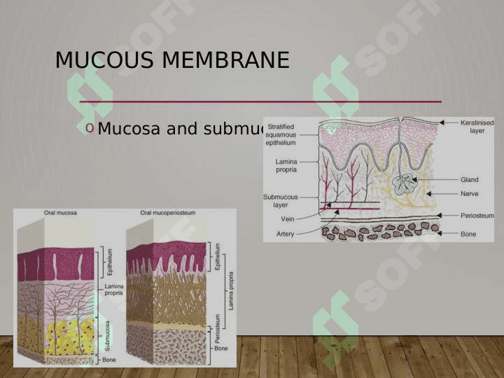 protez 4