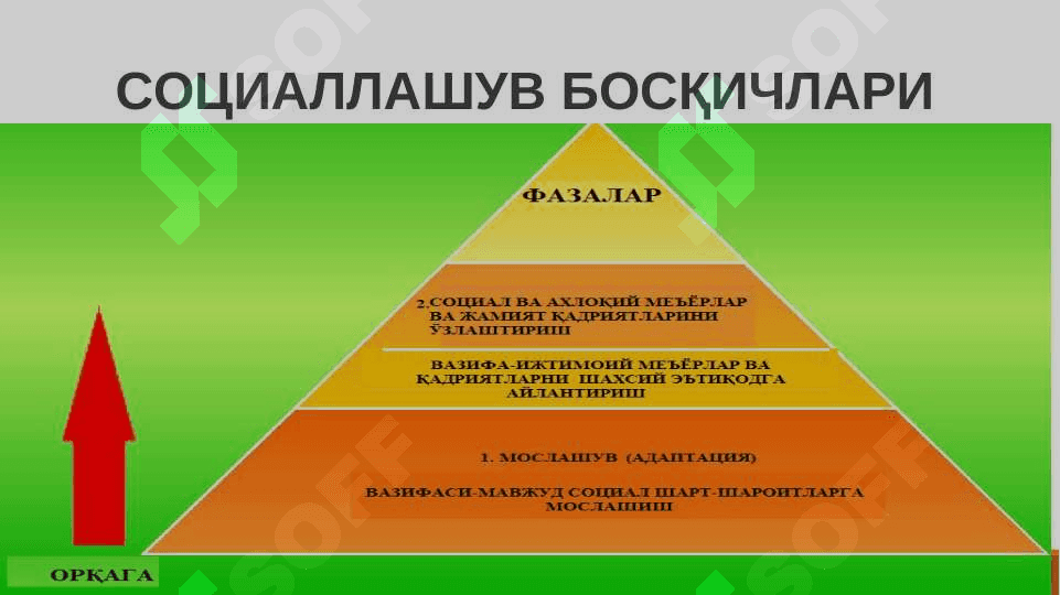 СОЦИОГЕНЕЗДА ШАХС 6