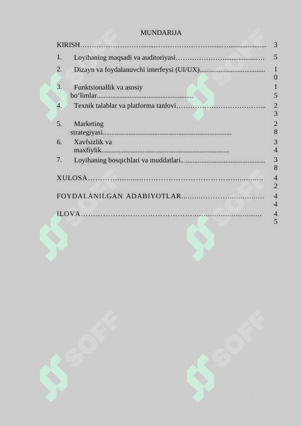 Individual loyiha 2